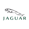 dowid-jaguar